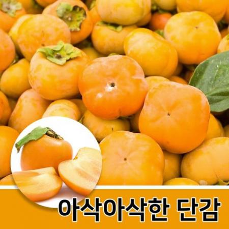 야과몰 아삭아삭 달달 맛있는 제철 과일 단감 10kg (1kg 당 5~6과 내외)