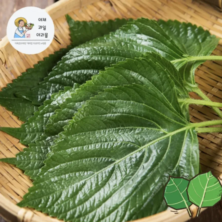 야과몰 신선하고 맛과 향이 가득한 깻잎 100묶음 1kg 깨찹 이미지