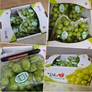 껍질째 먹는 고당도 샤인머스켓 2kg 내외 샤인(중) 4송이