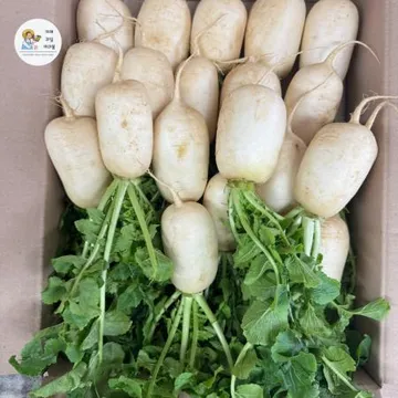 야과몰 국내산 고랭지 총롱무 알타리 5kg ★주문시 알타리로 발송됩니다★