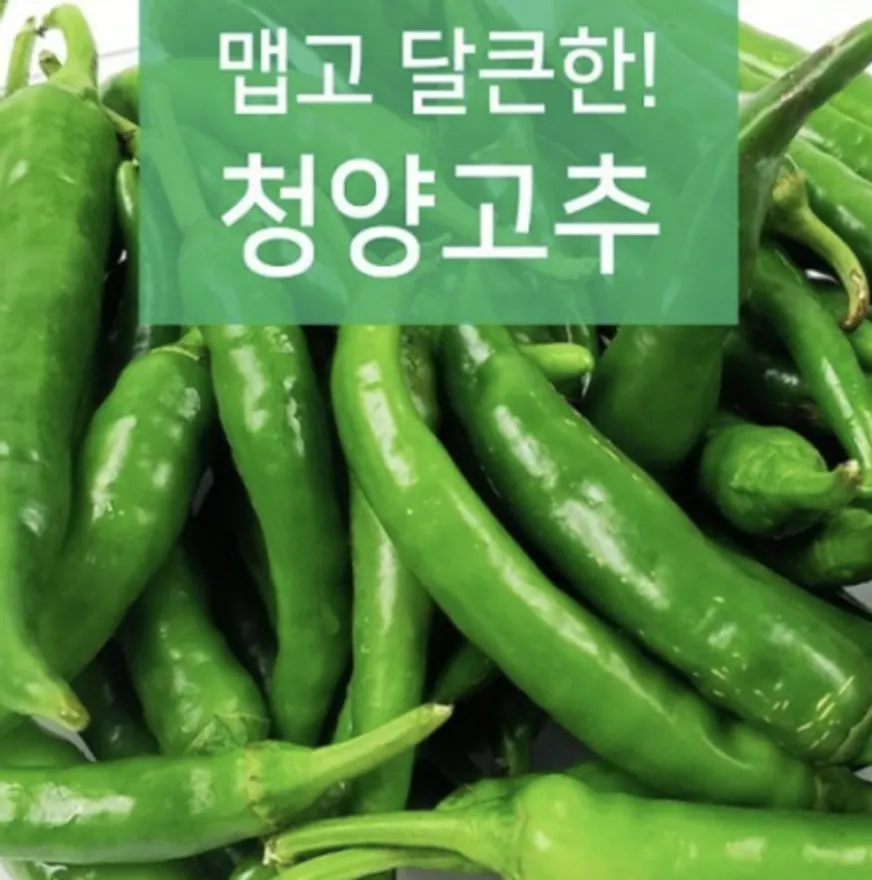야과몰 국내산 맵고 달큰한 청양고추 10kg 이미지