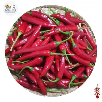 야과몰 국내산 싱싱한 빨강 홍고추 3kg