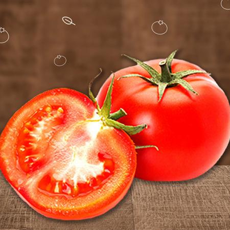 야과몰 달콤단단 신선한 맛 토마토  중대과 5kg