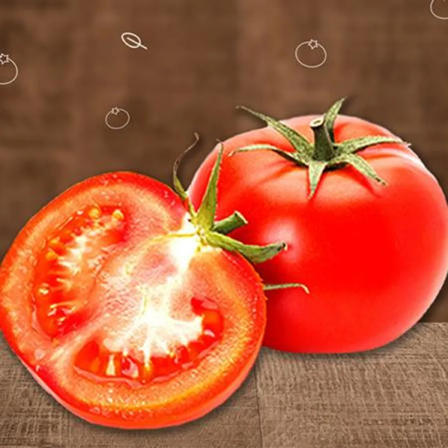 야과몰 달콤단단 신선한 맛 토마토 중대과 5kg 이미지