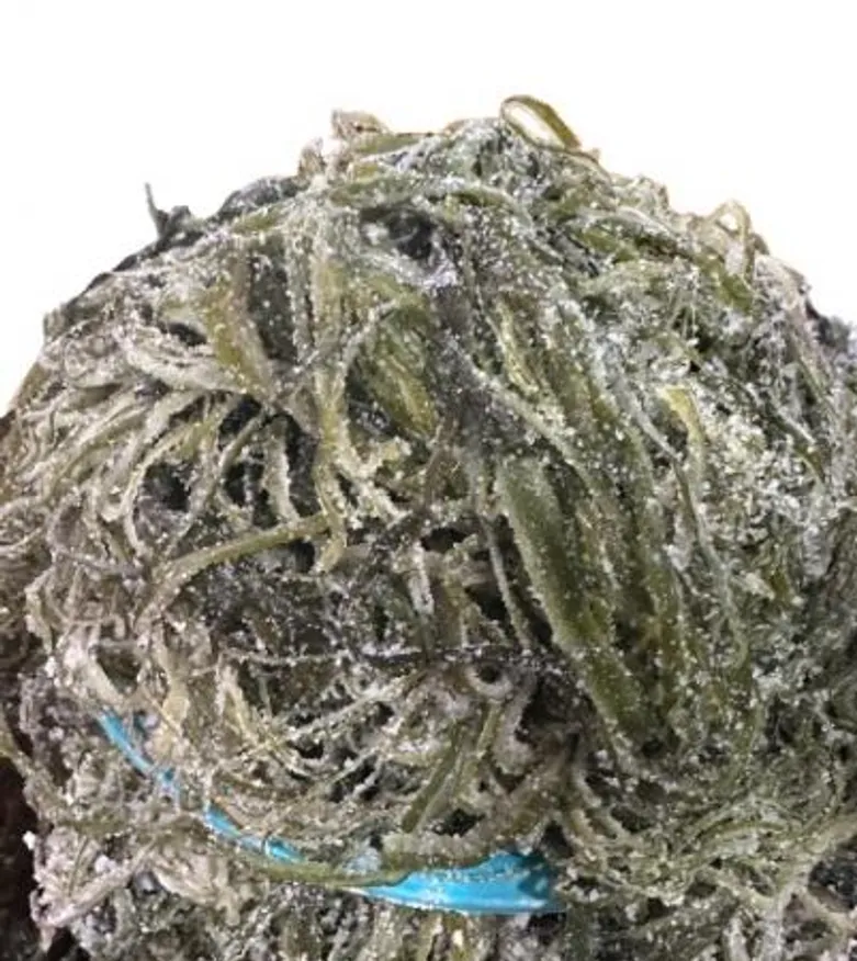 미역줄기 / 국내산 / kg 이미지