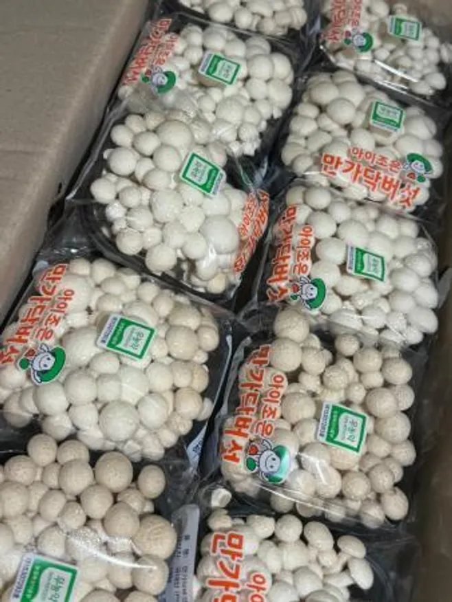 만가닥버섯 (백색) / 10pack / 국내산 / box 이미지