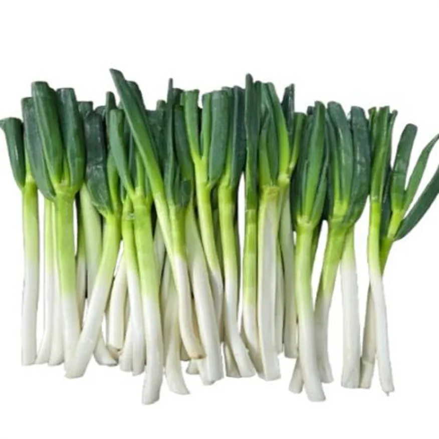 깐대파 / 국내산 / 단 이미지