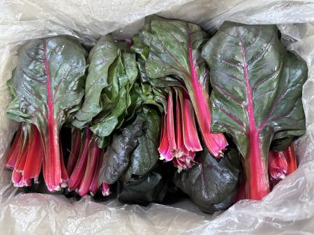 적근대 / 2kg / 국내산 / box