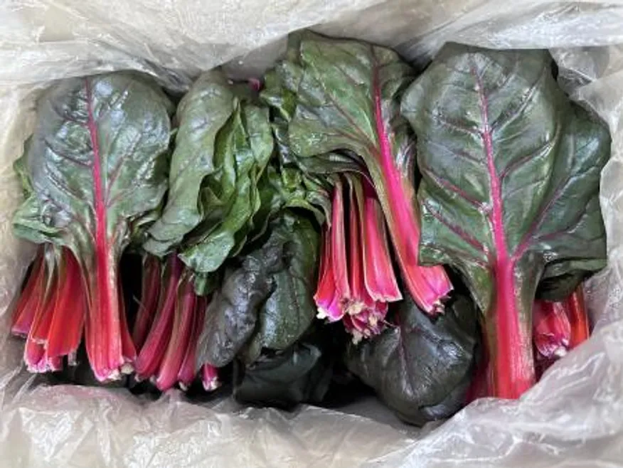 적근대 / 2kg / 국내산 / box 이미지