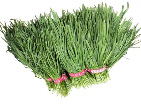 부추 / 국내산 / 단