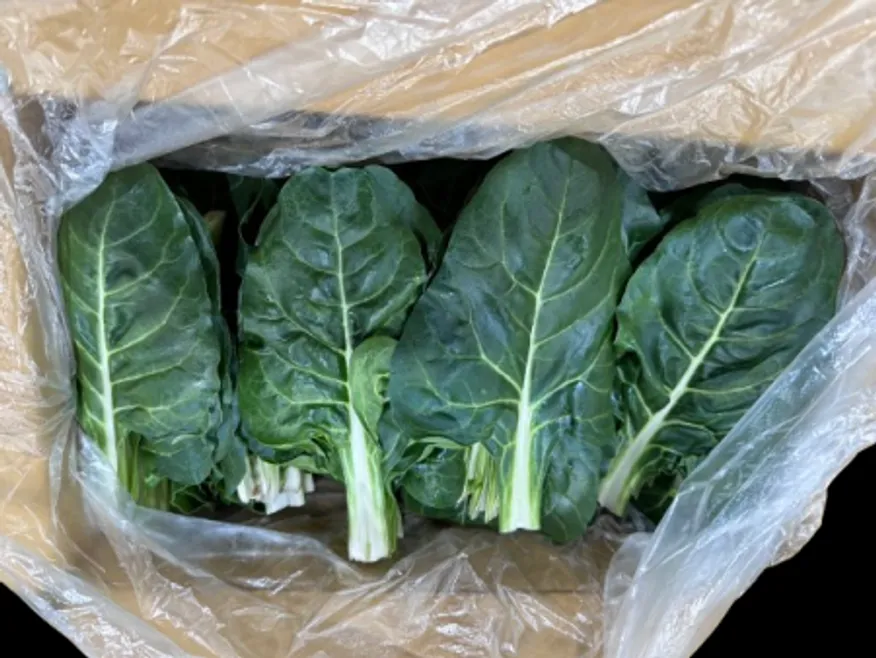 근대 / 4kg /국내산 / box 이미지