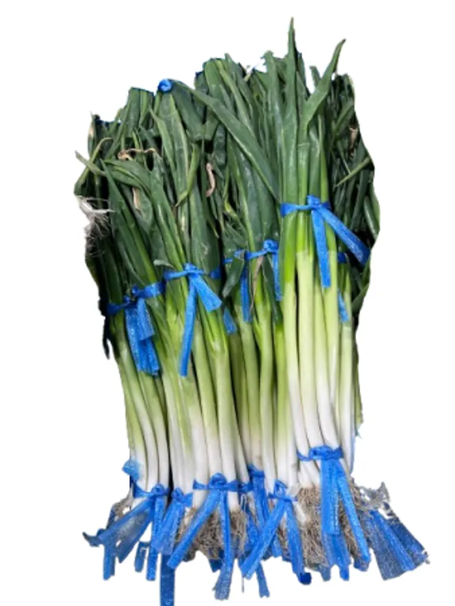 대파 / 국내산 / 단 이미지