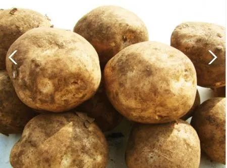 *농산물(감자/왕왕/국내산/10kg)