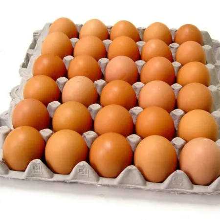 계란(대란/60-52g/신선란)30ea(1판)