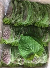 *농산물(깻잎/찹찹이/국내산)1kg