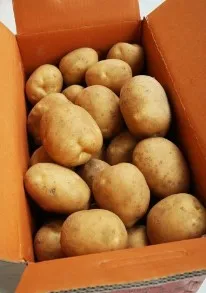 *농산물(감자/햇/왕특/박스)20KG