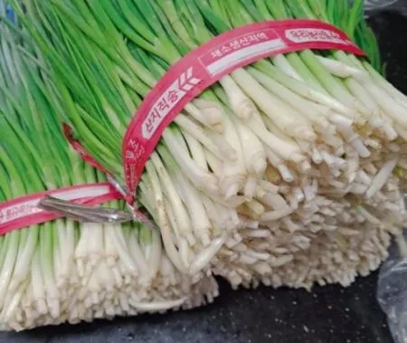 *농산물(깐쪽파/단)