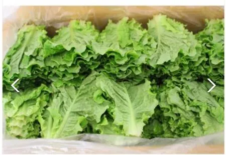 *농산물/청상추(국내산/4kg)박스