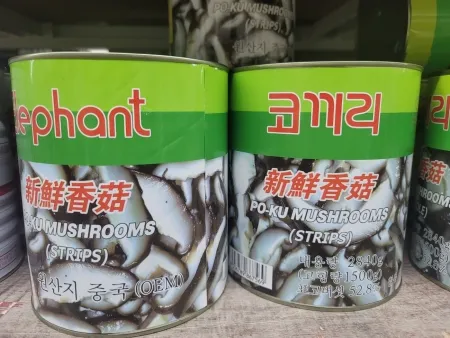 표고버섯(코끼리/채)2.8kg