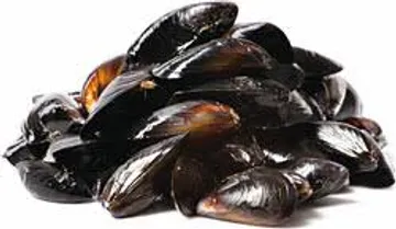 홍합(냉동/피홍합/자숙/국내산)1kg