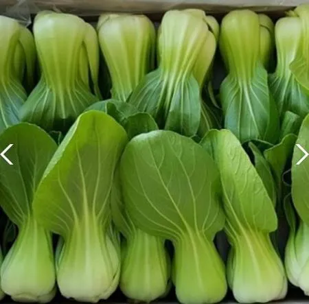 *농산물(청경채/박스/4KG)
