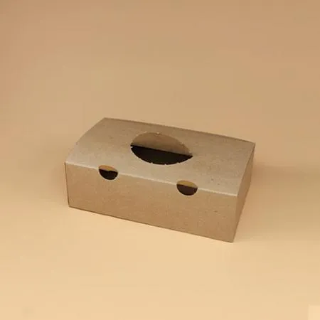 치킨박스(소-크라프트) 탕수육 튀김 후라이드 KP 상자