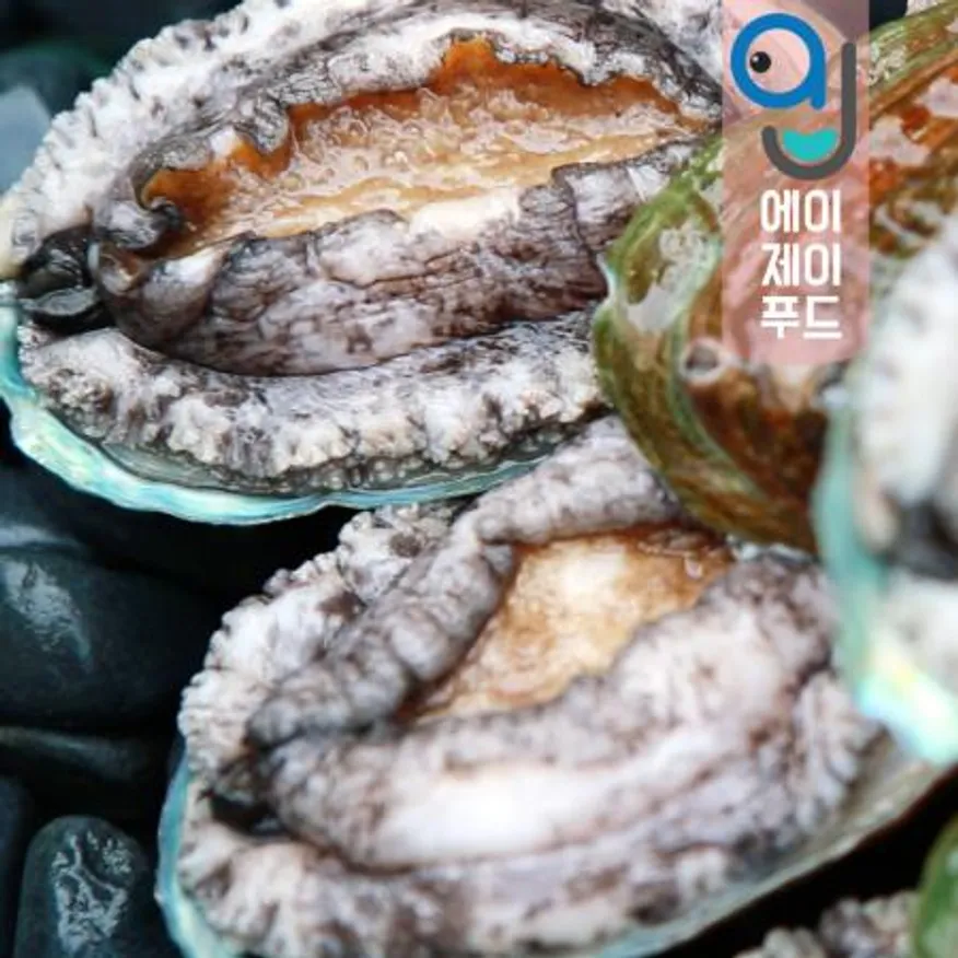 활전복(생물)+손질솔(사은품) 1kg 12-13미 국내산 이미지