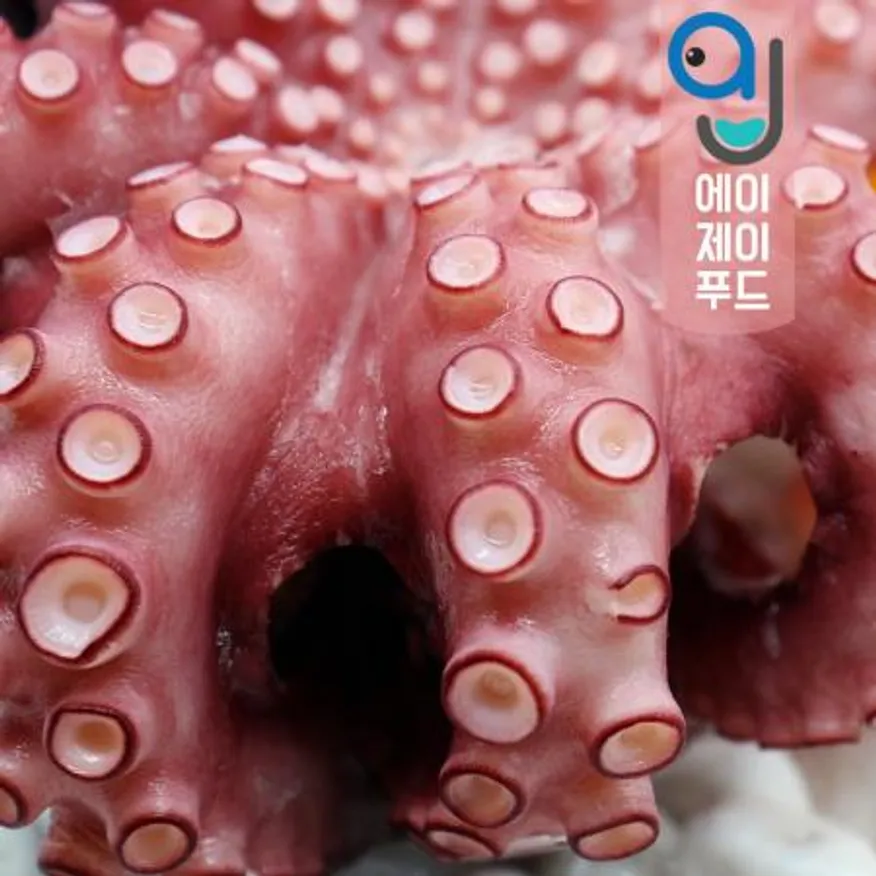 냉동 자숙 통문어 1Kg 이상 1팩 (모리타니아) 이미지