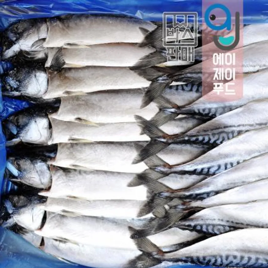 냉동자반고등어(박스)노르웨이★박스(8손 특대) 16마리 약 6.3kg 이미지