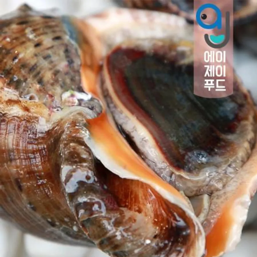 활참소라(생물) 1kg 대(국산) 이미지
