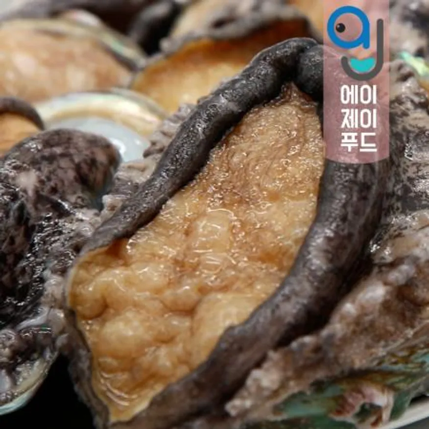 활전복(생물)+손질솔(사은품) 1kg 14-15미 국내산 이미지