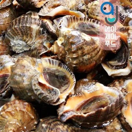 활참소라(생물) 1kg 소(국산)
