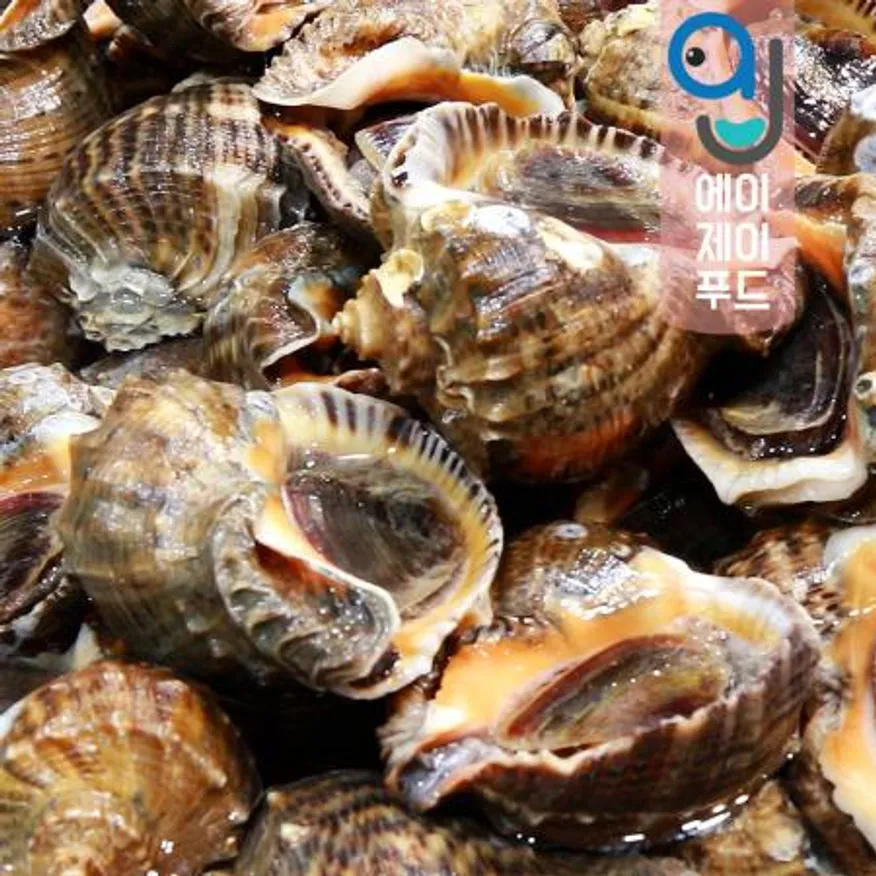 활참소라(생물) 1kg 소(국산) 이미지