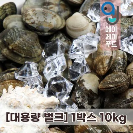[대용량]살아있는 활 바지락 10kg (칼국수용) 중국산 이미지