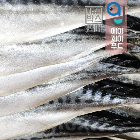 냉동자반고등어(박스)노르웨이★박스(10손 대) 20마리 약 6.3kg 이미지