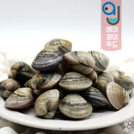 모시조개(생물) 백모시(중국) 1kg 이미지