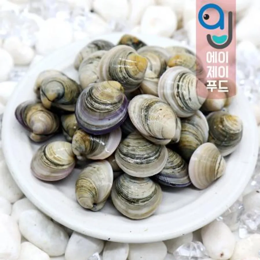 모시조개(생물) 백모시(중국) ★10kg 이미지