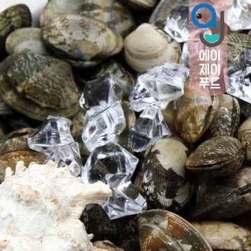 살아있는 활 바지락 1kg 중국산