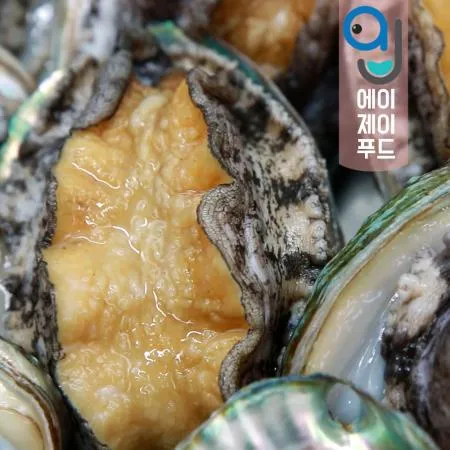 [무료배송+손질솔증정]살아있는 완도 전복(산소포장) 14-15미 국내산