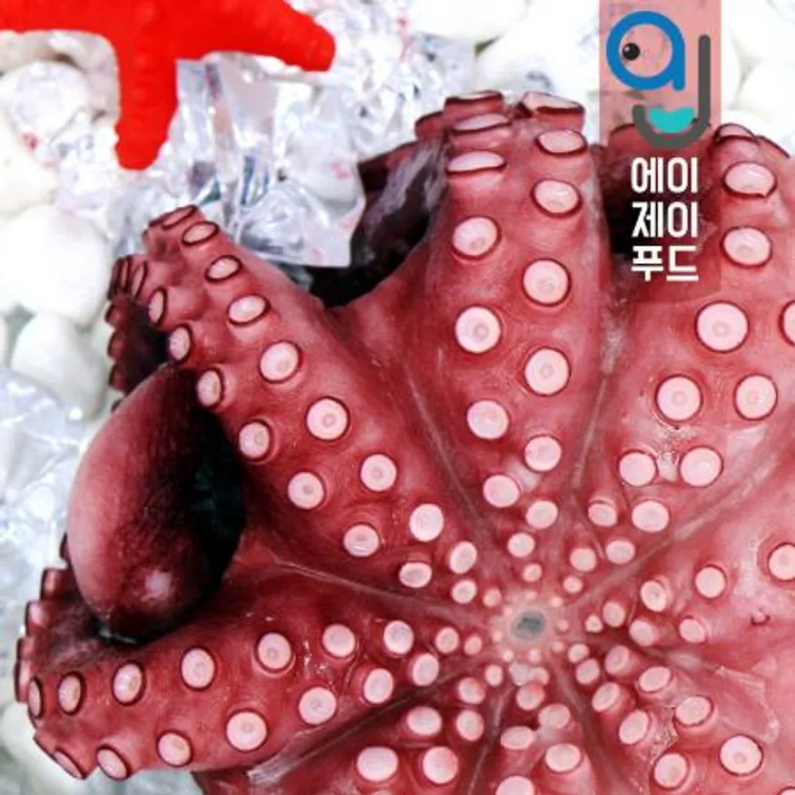 냉동 자숙 통문어 500g 1팩 (모리타니아) 이미지