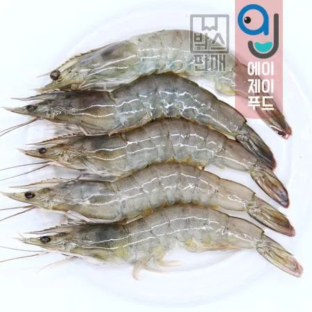 냉동 흰다리새우 25미 500gX10팩 5kg