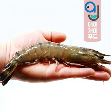 냉동 블랙타이거새우 20미 500g 이미지