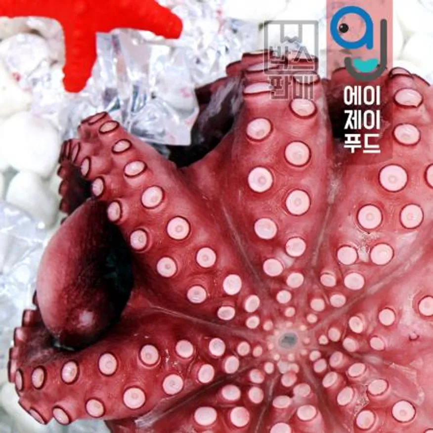 냉동 자숙 통문어 8kg 13미 (모리타니아) 이미지