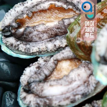 살아있는 완도 전복(산소포장) 9-10미 국내산 이미지