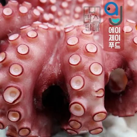 냉동 자숙 통문어 7미 8kg 모리타니아 이미지