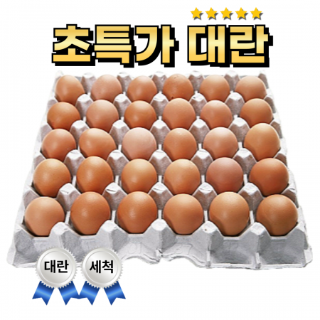 ★2월행사★대란 30알 (국내산세척, 5판)