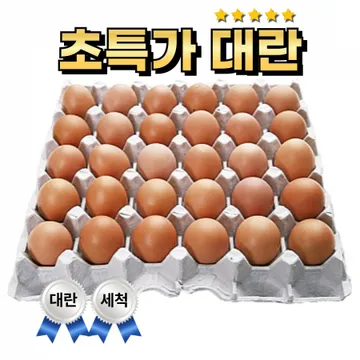 대란 30알 (5판 묶음, 국내산세척)