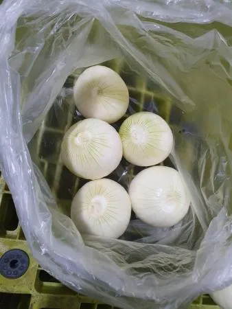 깐양파,1Kg(160g 이상),상품,실온,국산) 이미지
