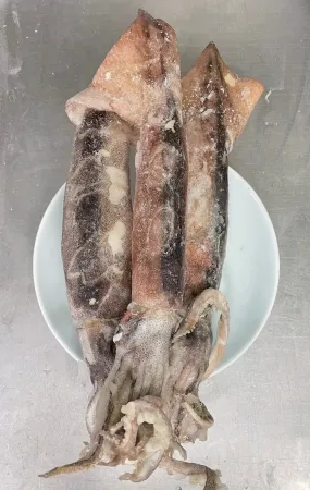 선동오징어(냉동,상품,국산)