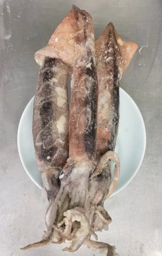 선동오징어(냉동,상품,국산) 이미지